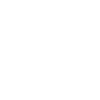 Micro Comprehensive icon