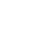 Third Party Auto icon